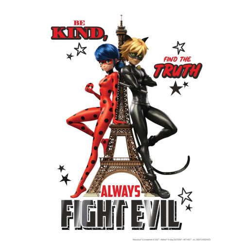 Párizs Katicabogár és Fekete macska poszter