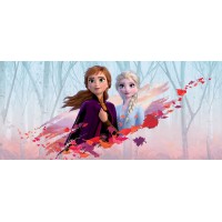 Jégvarázs Elsa, Anna, Szélvész poszter