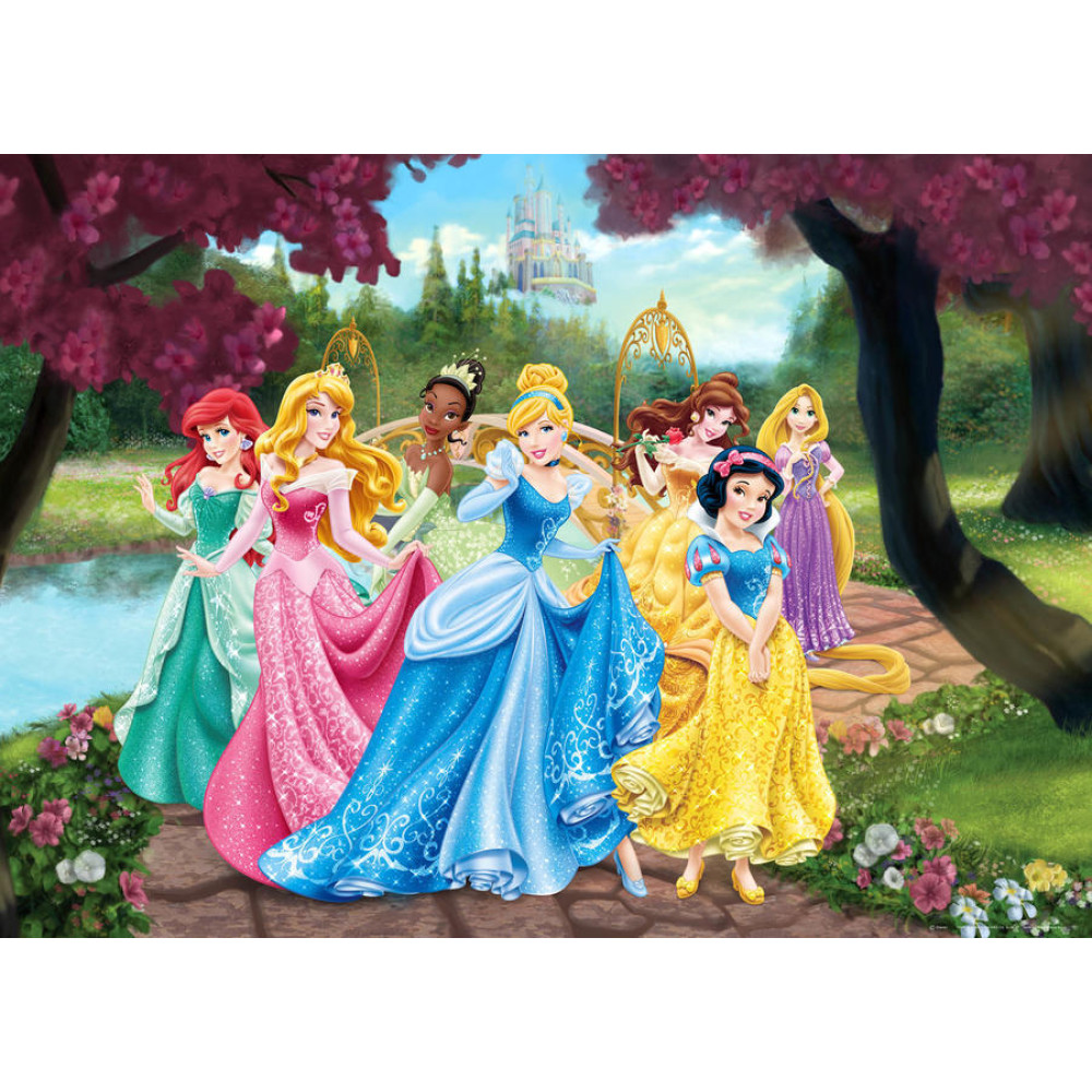 Disney Hercegnős poszter Disney Hercegnős poszter