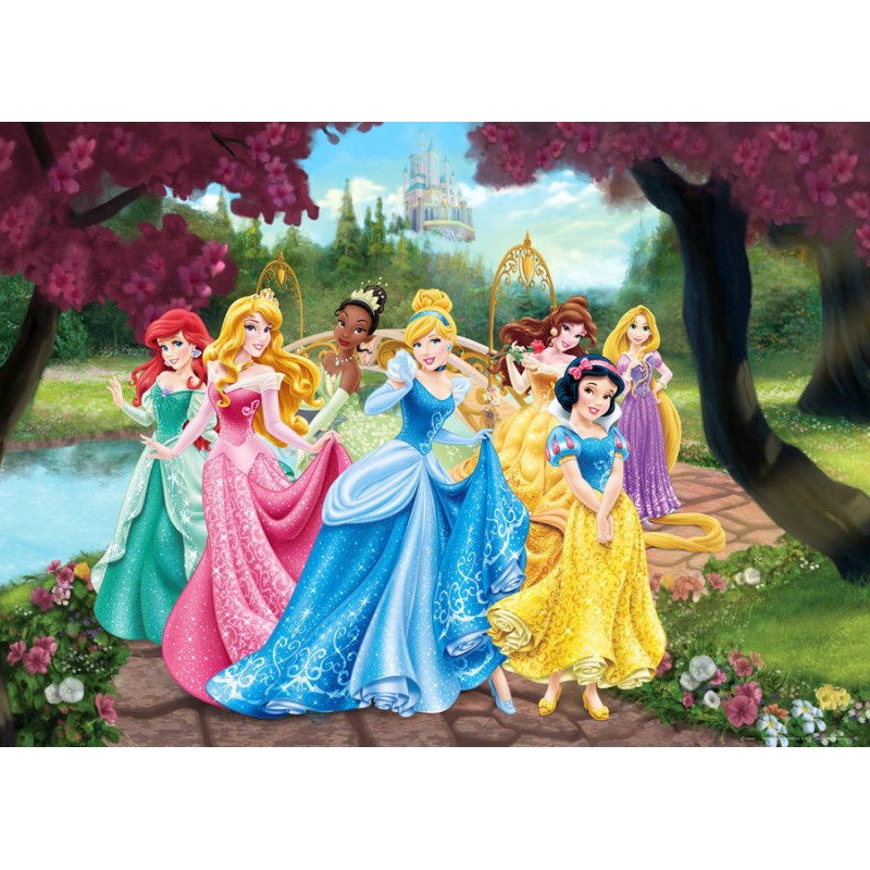 Disney Hercegnős poszter
