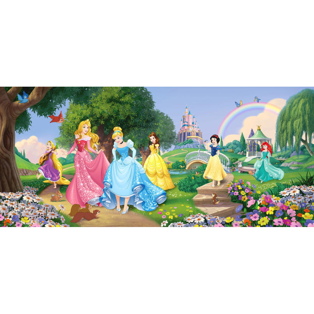 Disney Hercegnők poszter