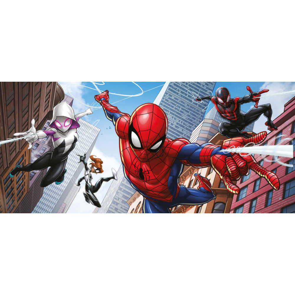 Pókember, Spiderman poszter