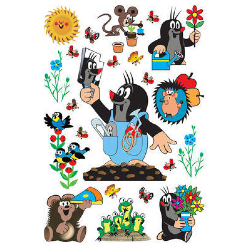 Kisvakond falmatrica